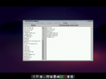 20111205_TinyCore_AppsAudit